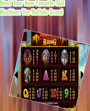 Free buffalo slot machine games