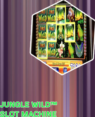 Jungle wild slot machine android