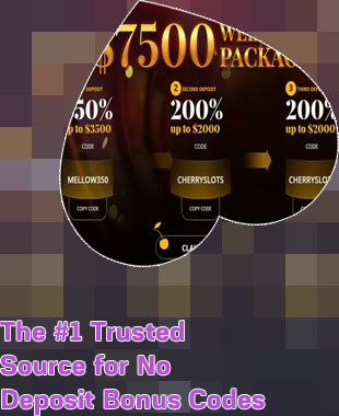 Slot nuts casino no deposit bonus codes